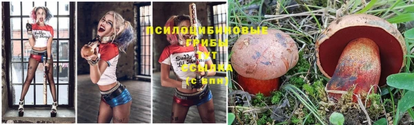 MESCALINE Вязьма